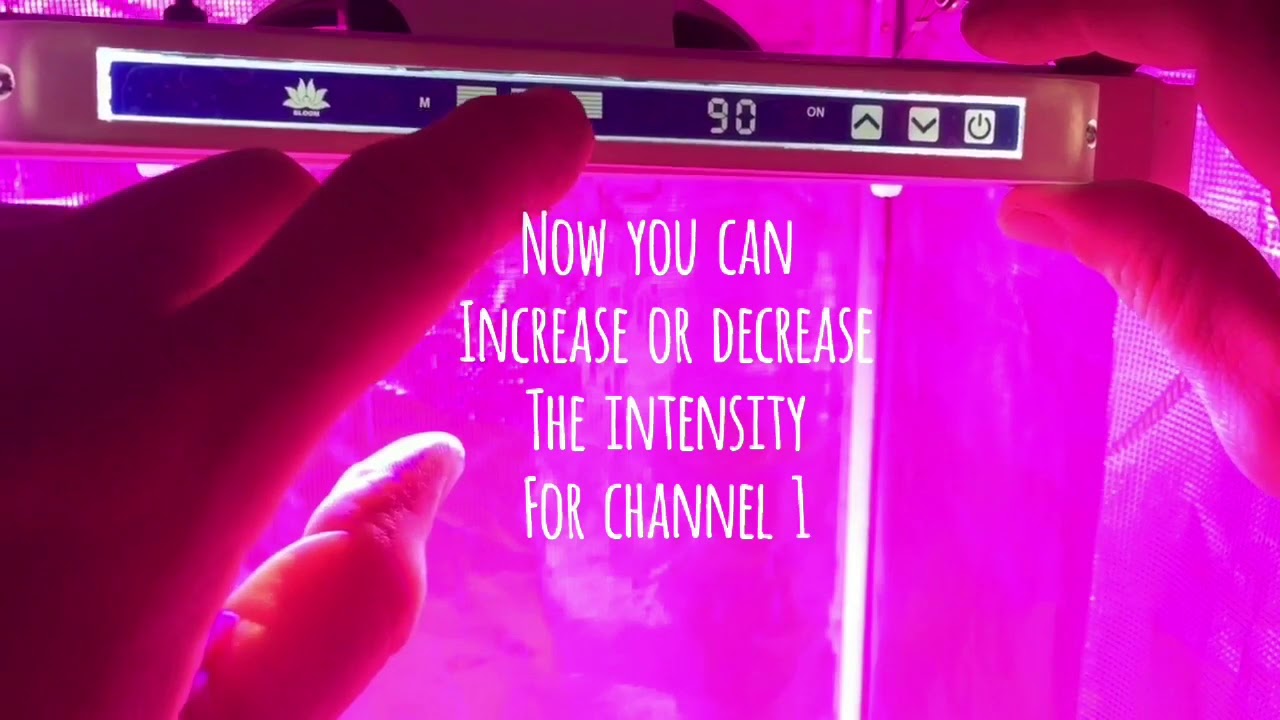 How To Change The Intensity channel by channel -4 (for both G800 and G400)