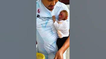 BaBy Lala Monkey Is Very Lovely And Very Smart Bibi Monkey Lala Familylala Bibi Familybibi 