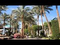 Sultan Gardens 5* Египет, Шарм Эль Шейх. Обзор отеля. Наш отдых