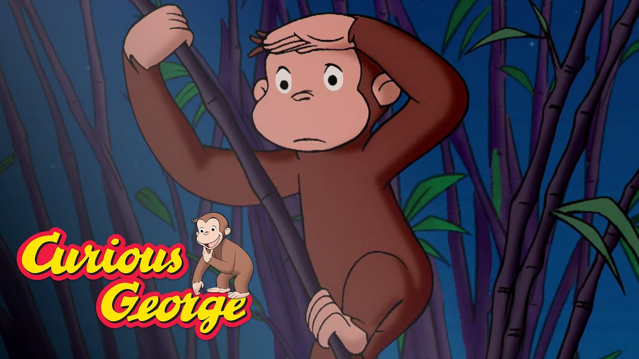 monkey in the zoo cartoon