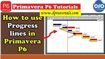 How To Use The Progress Line In Primavera P6 || Primavera Tips || dptutorials