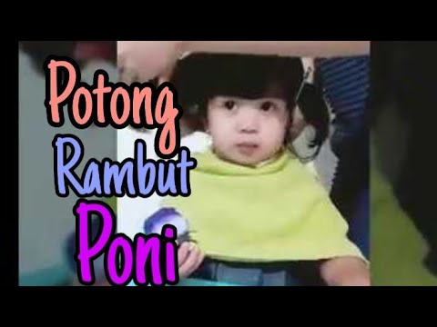  TUTORIAL  POTONG RAMBUT  PONI Untuk ANAK  KECIL  YouTube