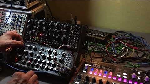 Moog DFAM Jam 1