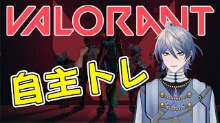 めっちゃ初心者の自主練ヴァロ #valorant #Shorts #Vtuber