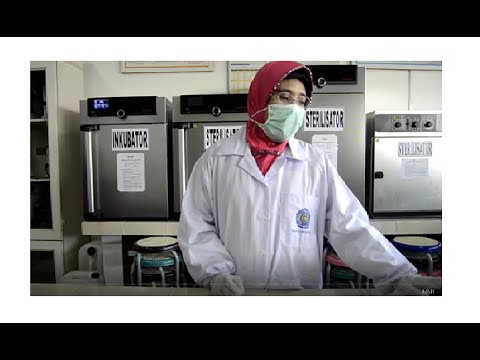 Video Praktikum Biomedik II Pengaruh Kadar Garam Terhadap Pertumbuhan Bakteri