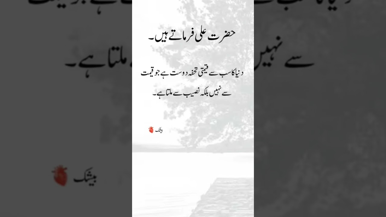 Deep Line Urdu shayari Zeenatshakhe 
