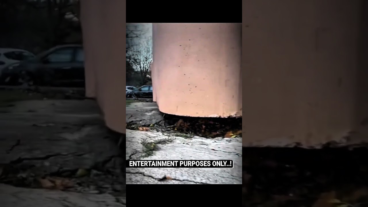 Power of a stick 💪| 