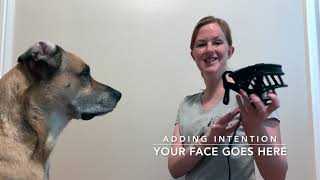 Detailed Muzzle Conditioning with a basket muzzle Profile