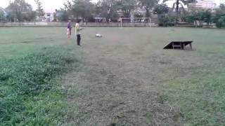 1/5.YALA-2012-10-03.mp4