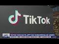 TikTok CEO says app has 150 million regular users | FOX 13 Seattle