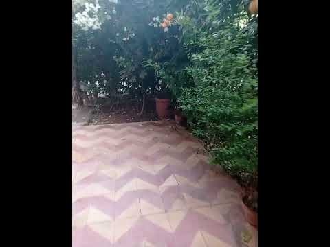 عشاق لغرش جردة اشجار جولة في جردة