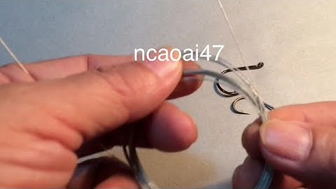 Fishing - How to tie Silver Characidae Rig(152) Thẻo Cáp buộc móc câu cá chim trắng