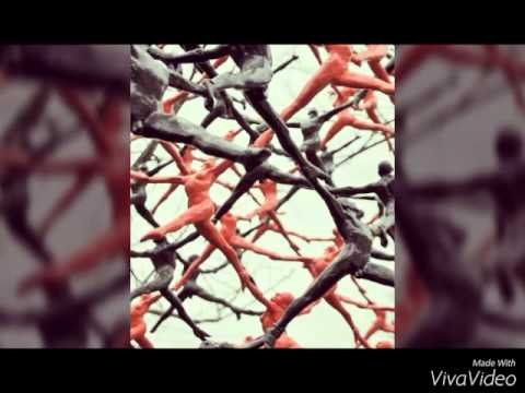 ლამაზი სურათების კრებული