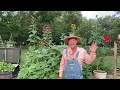 Don't be a FOLLOWER / How many Ears of Corn did I get from the Raise Bed / Garden Talk and UPDATE