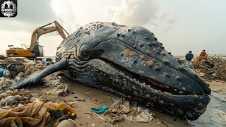 19 Most Incredible Heavy Machinery To End Plastic Pollution  09