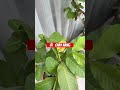 Mở tkck VPS ID bx0L #dautuchungkhoan
