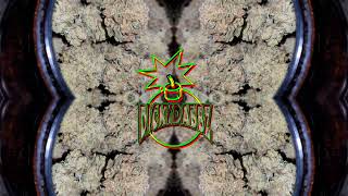 DickyDabbz