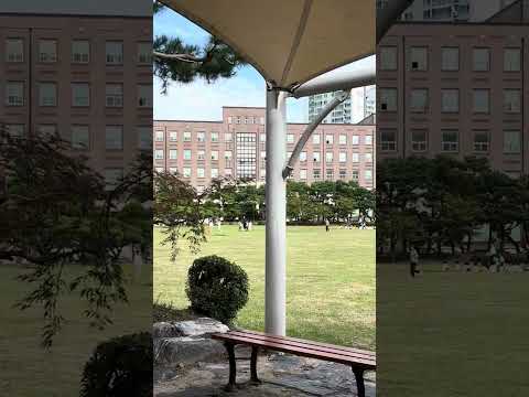 #동남보건대학교 잔디밭 #의료인공지능학과