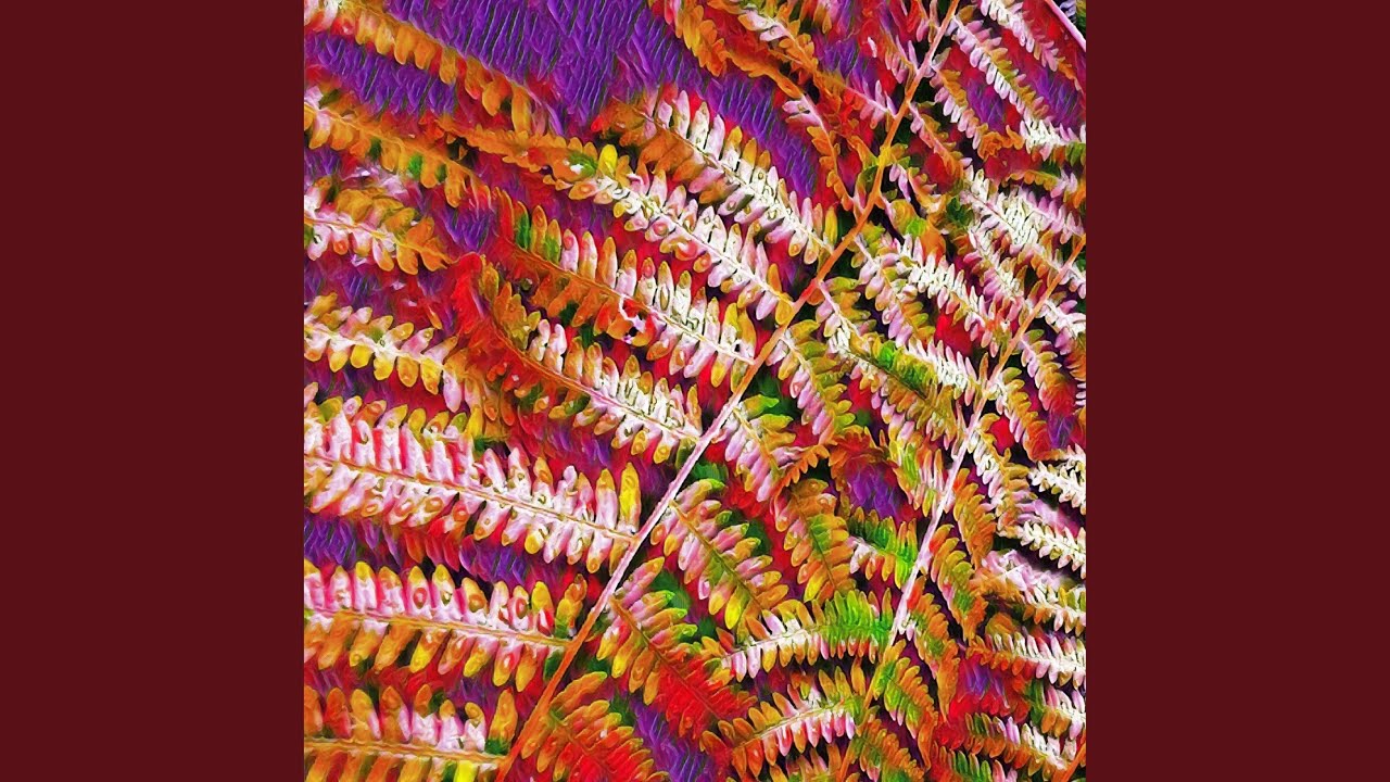 Watch Sub-Canopy on YouTube Watch Sub-Canopy on YouTube