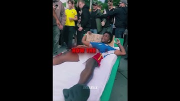 Speed finds a magical bed😂