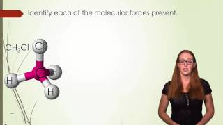 Intermolecular Forces, Summary, and Wrap-Up