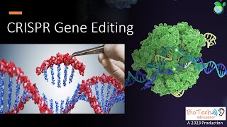 Crispr Gene Editing Technologies Explained In 9 Minutes