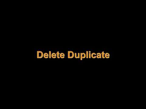 WSP Revit Addin - Delete Duplicate