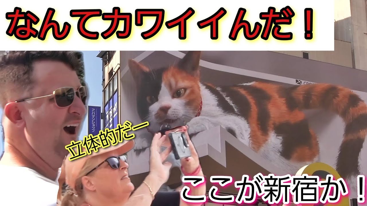 なんてカワイイんだ！新宿の3D猫ちゃんがいま外国人観光客のなかで大人気スポットになる