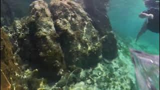 VID 20250717 115403 00 003 mp4 noSnd