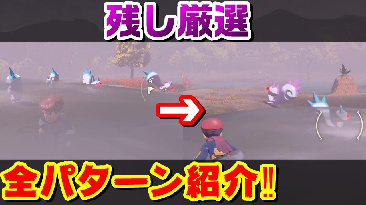 Pla 新厳選方法 残し厳選 の全パターン紹介 解説 ポケモンレジェンズアルセウス Youtube