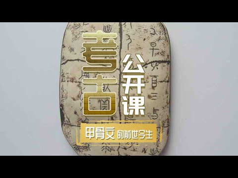 中國-中華國寶-EP 89-來自3500年前的古老文字甲骨文它究竟是一種什麼樣的文字？《考古公開課》甲骨文的前世今生