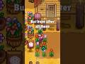 Did you know about this Stardew Valley secret?