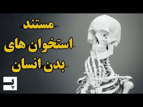 تصویری: کوتاه ترین استخوان بدن انسان کدام است؟