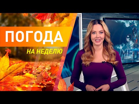 Бейне: Қандық (49 сурет): Сібір және Кавказ эритронийі, «Пагода» және басқалары, ашық жерге өсімдіктерді отырғызу және күту