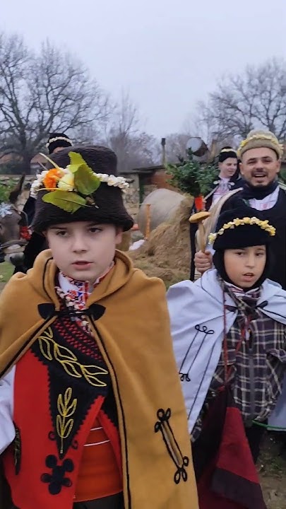 Добри гости коледари🥰 #коледа #коледуване #животнасело - YouTube