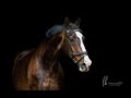 Novocain||Equestrian Music Video||