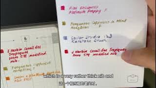 【ENG/中字】Bushimen PAL Planner 2024 vs 2025 Comparison & Swatches｜ 不是闷 PAL手帐 2024 2025对比 新纸试色