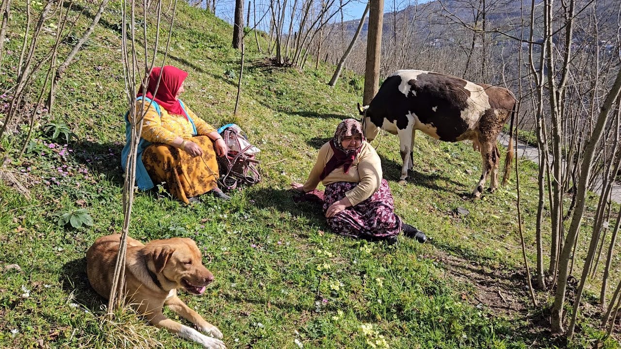 KIZLAR ÇİMENE DOYAMADI ☺️