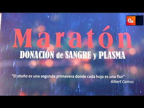 Ciudad Real refuerza las donaciones de sangre con una jornada especial 1 YouTube player