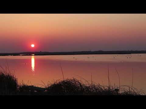 دعاء بين الاذان والاقامة القاريء الدكتور محمد الصبيحي