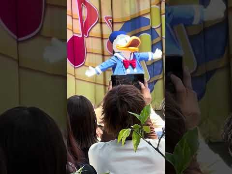 ジャンボリミッキー at 東京ディズニーランド 2024/5/17