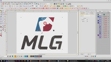 Wilcom Embroidery Studio - Auto Digitize - Smart Design