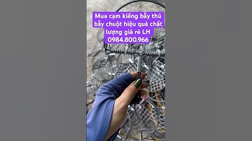 Mua cạm kiềng bẫy thú bẫy chuột hiệu quả chất lượng giá rẻ LH 0984.800,966