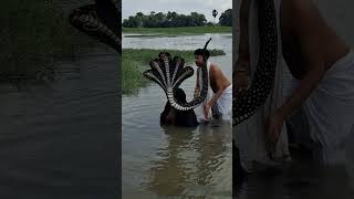 Download Lagu Janmashtami shooting video #krishna MP3