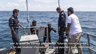 Cañonero Tampico screenshot 5