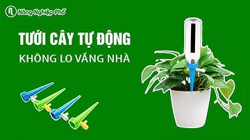 Tưới cây tự động - Không lo vắng nhà | Làm vườn thông minh | Nông Nghiệp Phố