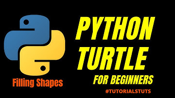 Filling Shapes in Python Turtle | Filling Shapes Python Turtle