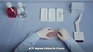 How To Run A 96-Well Transwell Ay Teer Measurement & Lucifer Yellow Qc