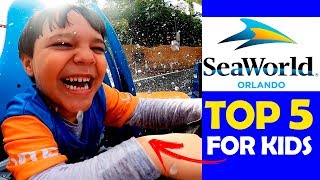 TOP 5 BRINQUEDOS E ATRAÇÕES DO SEA WORLD PARA CRIANÇAS PEQUENAS