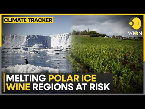 Melting poles slowing earth's rotation | Climate change threatens Wines | WION Climate Tracker